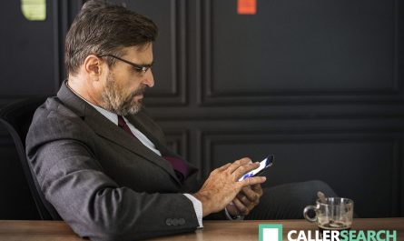 reverse phone lookup