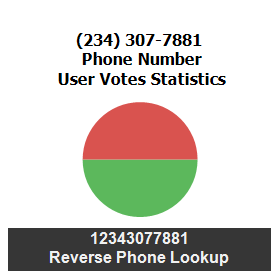 234-307-7881