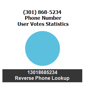 301-868-5234