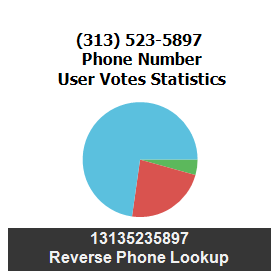 313-523-5897