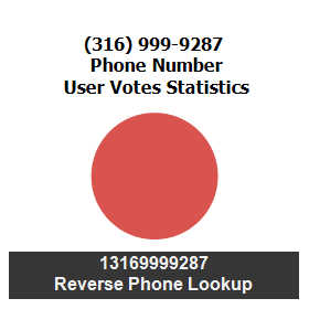 316-999-9287