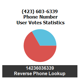 423-603-6339