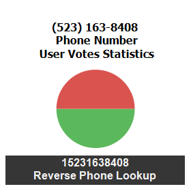 523-163-8408