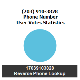703-910-3828