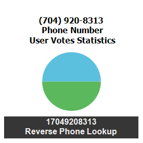 704-920-8313