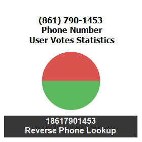 861-790-1453