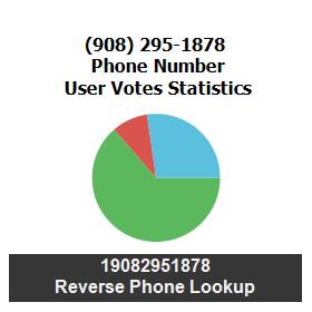 908-295-1878