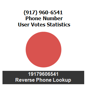 917-960-6541