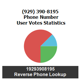 929-390-8195
