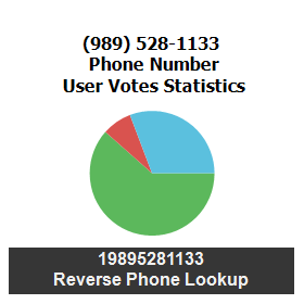 989-528-1133